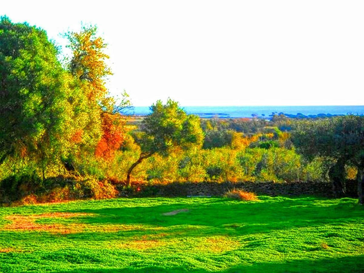 Orosei Re - Il Paradiso Degli Ulivi Con Piscina E Vista Mare Zewnętrze zdjęcie